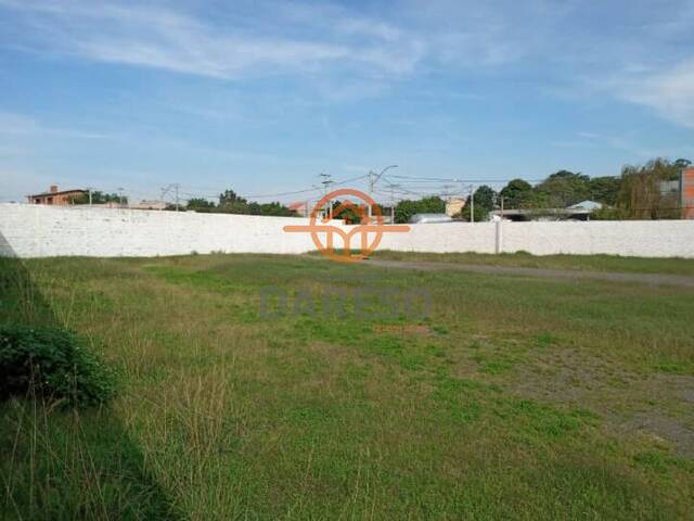 Terreno para Locação em Sapucaia do Sul - 4