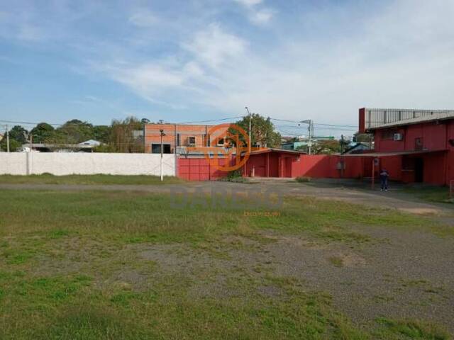 Terreno para Locação em Sapucaia do Sul - 5