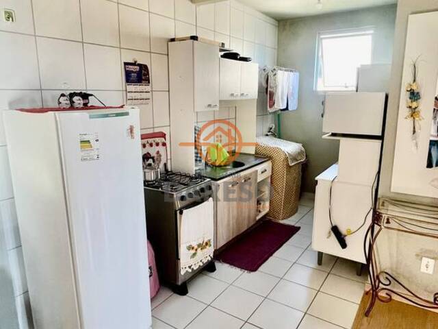 Apartamento para Venda em Sapucaia do Sul - 4