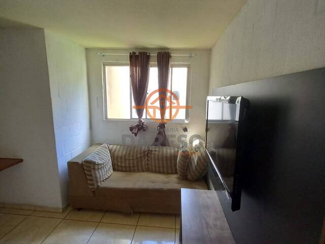 Apartamento para Venda em São Leopoldo - 5