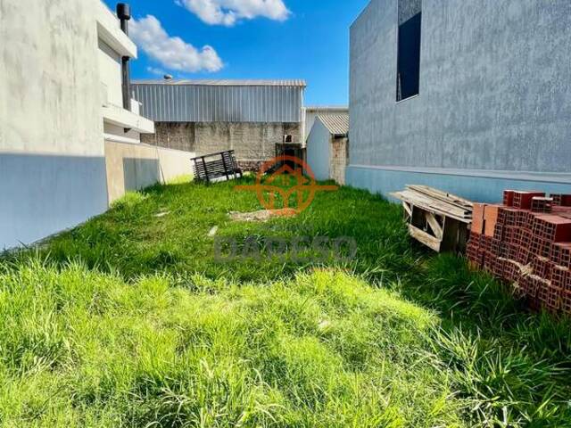 Terreno para Locação em Sapucaia do Sul - 4