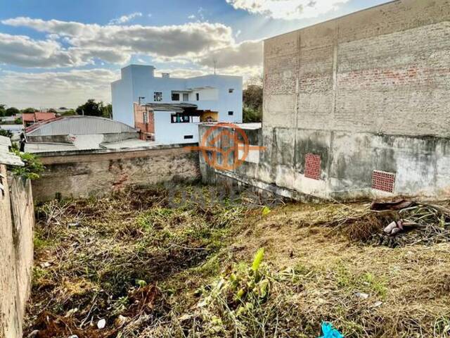 Terreno para Venda em Sapucaia do Sul - 5