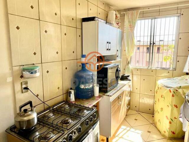 Apartamento para Venda em Sapucaia do Sul - 4