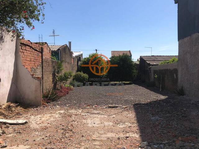 #1209 - Terreno para Venda em Sapucaia do Sul - RS - 1