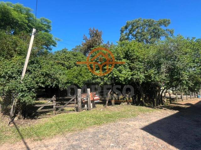 Terreno para Venda em Sapucaia do Sul - 4