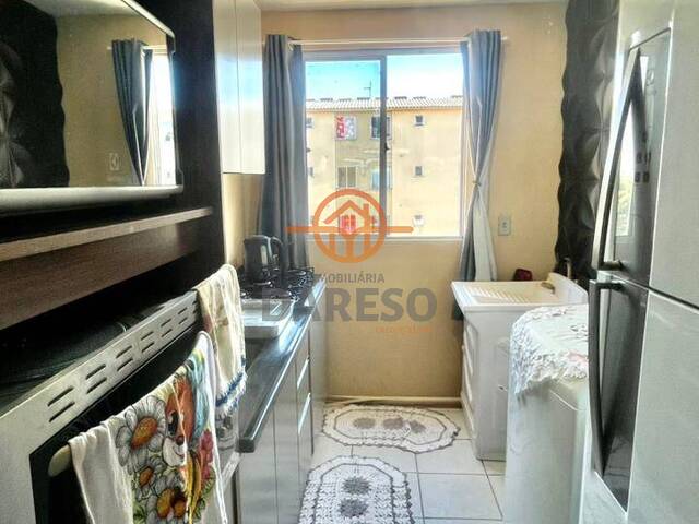 Apartamento para Venda em Sapucaia do Sul - 5