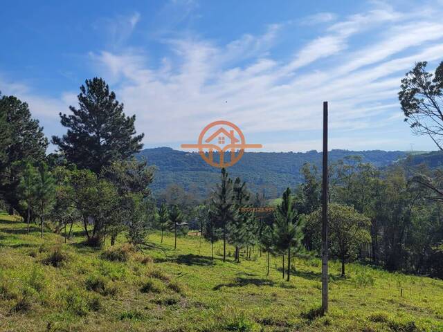 #1249 - Chácara para Venda em Gravataí - RS - 1