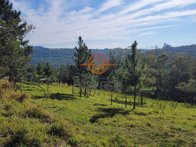 #1249 - Chácara para Venda em Gravataí - RS - 2