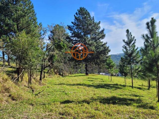 #1249 - Chácara para Venda em Gravataí - RS - 3