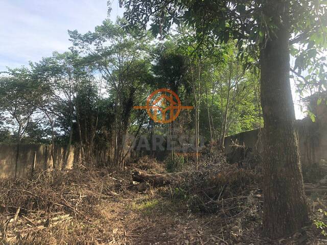 Terreno para Venda em Sapucaia do Sul - 4